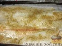 риба риба