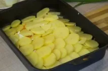 риба