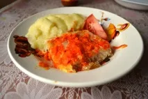 Риба пангасіус, Путівник для мами путівник