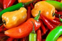 Роль харчових продуктів, необхідних для інтенсивних скелелазних тренувань харчових