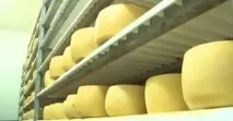 тайни гръцки