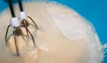 шарлот шарлот