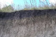 ґрунти