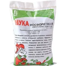 лісові