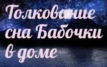 сънуваха къщата