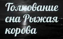 сънища сънища