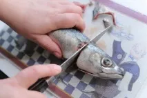скумрия снимка