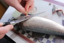 скумрия консерви
