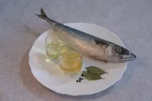 скумрия скумрия