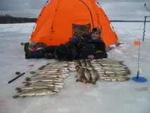 жива стръв зимни