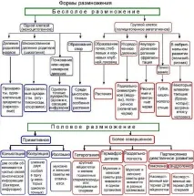 покривните тъкани животни