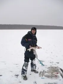 отвори отвори