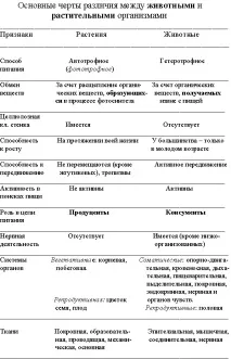 животни покривните тъкани