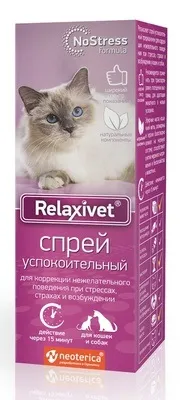 онлайн кучета