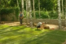 Стрижений газон висадка трави та догляд за нею, вибір рослин висадка