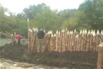 Будуємо паркан із колоди частокіл на фото колья, відео інструкція колоди