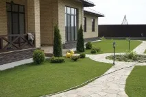 Стрижений газон висадка трави та догляд за нею, вибір рослин стрижений