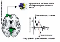 воля свободна