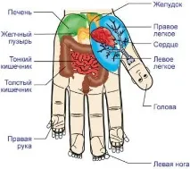 Су Джок терапія очима професіонала, Екологія здоров’я очима