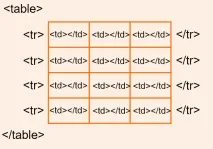vertex клетки съседни