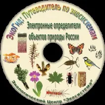 ТИП СІРОГО ЛІСОВОГО ГРУНТУ ґрунтів