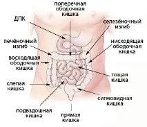диария диария йеджунум