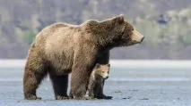 насън насън