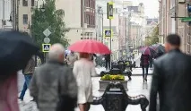 дмитровка болшая