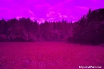 Ультрафіолетова фотографія фотографія
