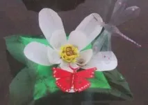 крайградската пластмасови бутилки