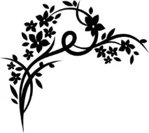corel photo-paint