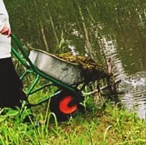 Добрива для водойми та способи їх внесення способи