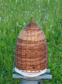душата кошера