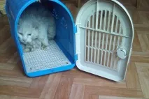 волонтери