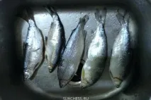 пресни билки pyzhyan