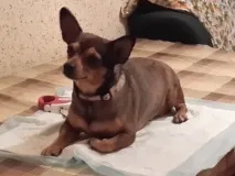 догляд