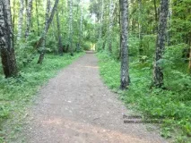 Веломаршрут №1 по Битцевському парку, Джерела традицій традицій