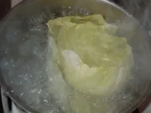 рибни зелеви