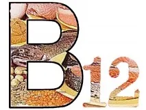 Ce rol joacă vitamina B12 în corpul uman, semne și cauze ale deficienței, aportul zilnic,
