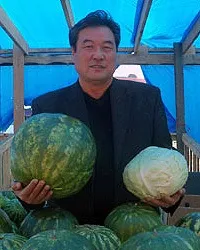 пъпеши отглежда