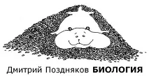 Повітроносні шляхи шляхи