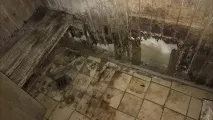 адвокат родители
