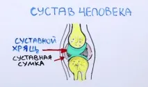 пръсти пръсти