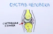 бременност плода позитивно