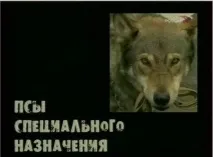 полковник Александър Иванович