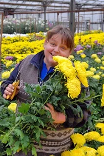 У квітковому царстві – Бобруйск бобруйск