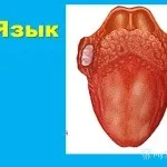 відчуває