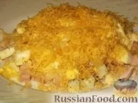 Холодні закуски, Курка з сиром, рецепти з фото на 32 рецепти сиром