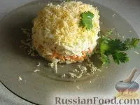 Холодні закуски, Курка з сиром, рецепти з фото на 32 рецепти сиром