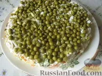 Холодні закуски, Курка з сиром, рецепти з фото на 32 рецепти сиром
